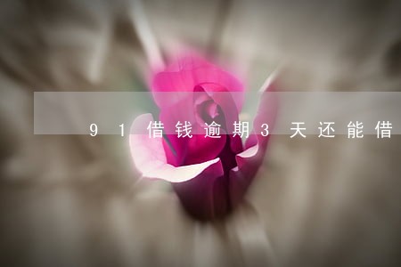 91借钱逾期3天还能借吗 91借钱逾期3天还能借吗