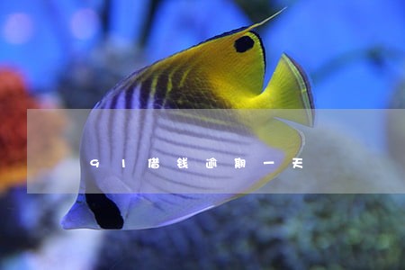 91借钱逾期一天 91借钱逾期一天
