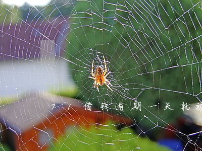 91借钱逾期一天就被套路 91借钱逾期一天就被套路