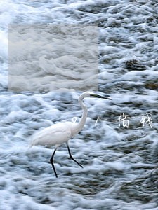91借钱逾期两年了 91借钱逾期两年了