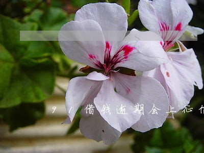 91借钱逾期会上征信吗 91借钱逾期会上征信吗
