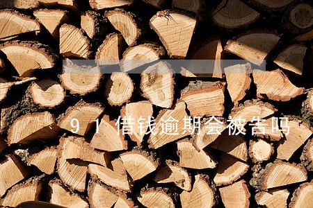 91借钱逾期会被告吗