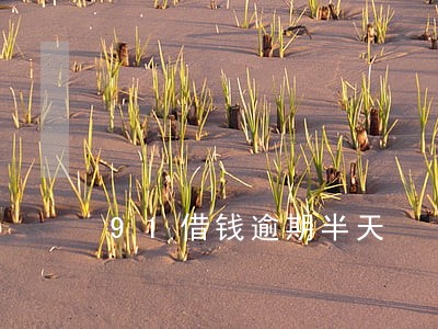 91借钱逾期半天 91借钱逾期半天