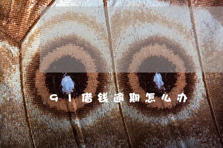 91借钱逾期怎么办 91借钱逾期怎么办