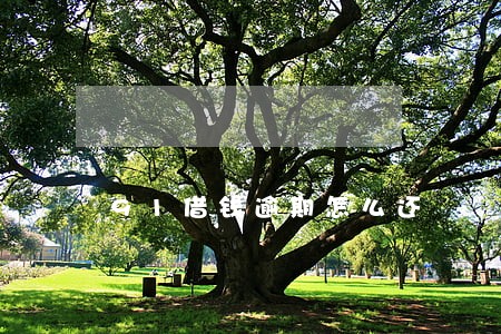 91借钱逾期怎么还 91借钱逾期怎么还