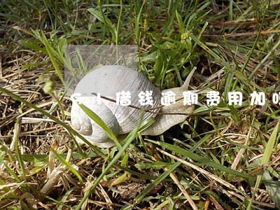 91借钱逾期费用加吗 91借钱逾期费用加吗