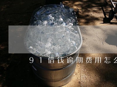 91借钱逾期费用怎么办 91借钱逾期费用怎么办