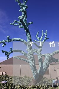 91借钱逾期还能再借吗 91借钱逾期还能再借吗