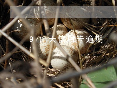91天信用卡逾期