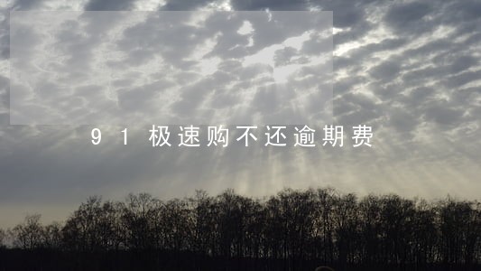 91极速购不还逾期费 91极速购不还逾期费