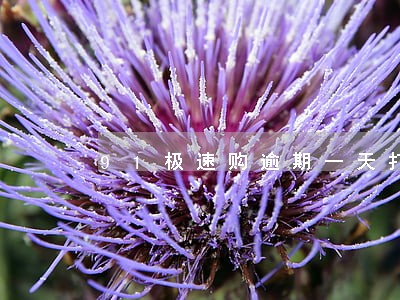 91极速购逾期一天打联系人吗 91极速购逾期一天打联系人吗