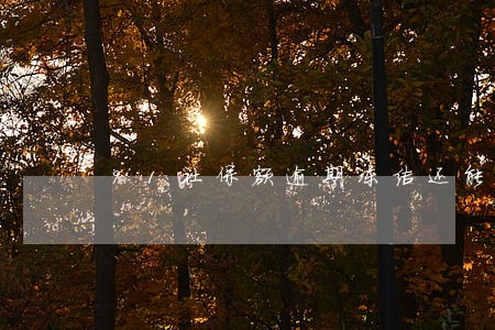 91社保额逾期冻结还能再借吗 91社保额逾期冻结还能再借吗