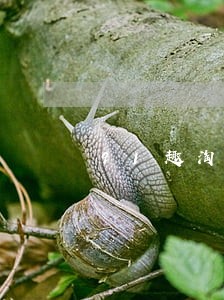91趣淘逾期有什么后果 91趣淘逾期有什么后果
