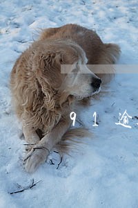 91逾期查询 91逾期查询