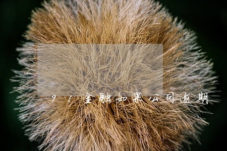 91金融如果公司逾期 91金融如果公司逾期