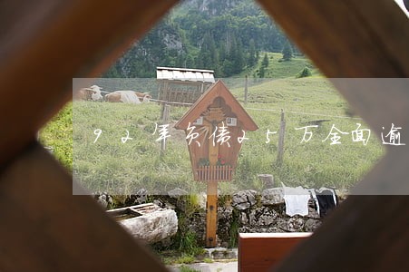 92年负债25万全面逾期 92年负债25万全面逾期