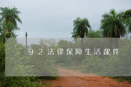 92法律保障生活课件 92法律保障生活课件