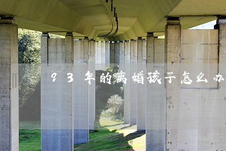 93年的离婚孩子怎么办 93年的离婚孩子怎么办