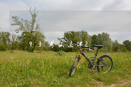 93考试法律2 93考试法律2