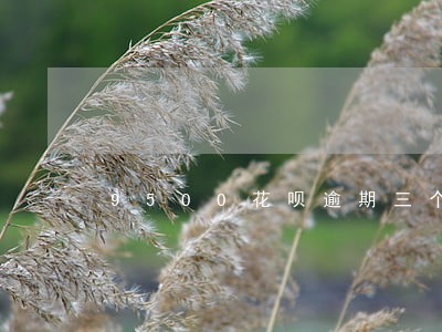 9500花呗逾期三个月 9500花呗逾期三个月