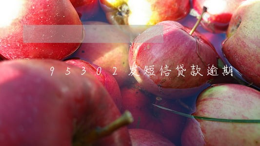 95302发短信贷款逾期 95302发短信贷款逾期