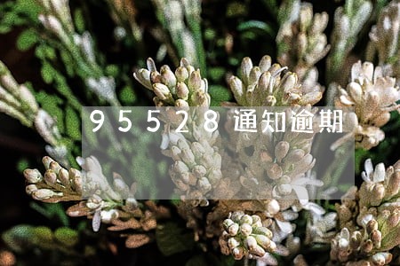 95528通知逾期 95528通知逾期