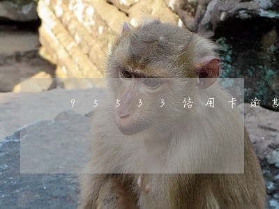 95533信用卡逾期 95533信用卡逾期