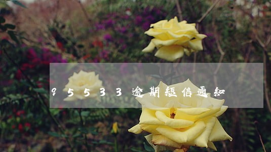 95533逾期短信通知 95533逾期短信通知
