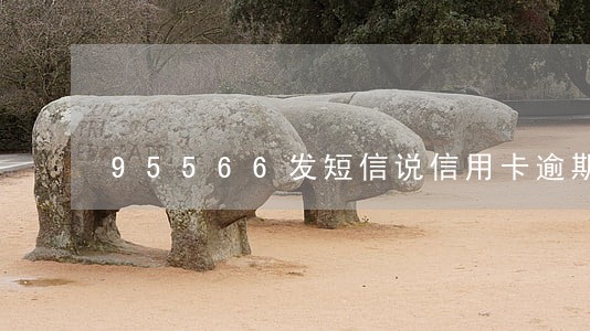95566发短信说信用卡逾期 95566发短信说信用卡逾期