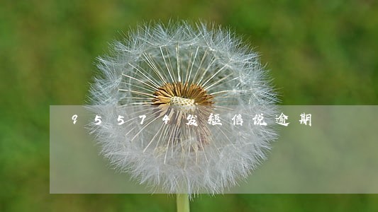 95574发短信说逾期 95574发短信说逾期