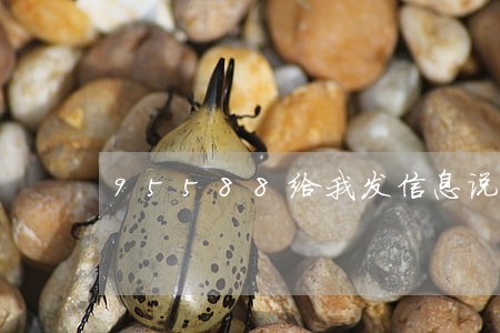95588给我发信息说我逾期