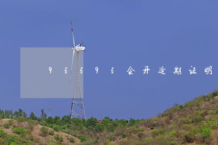 95595会开逾期证明吗