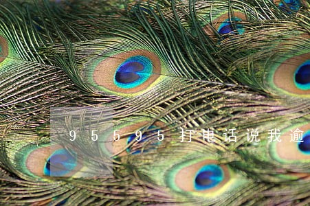 95595打电话说我逾期