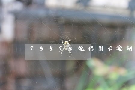 95595说信用卡逾期 95595说信用卡逾期