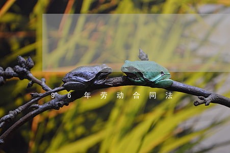 96年劳动合同法 96年劳动合同法