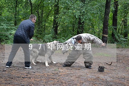 97年网贷逾期 97年网贷逾期