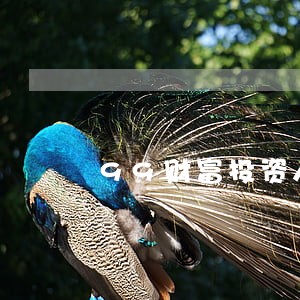 99财富投资人逾期 99财富投资人逾期