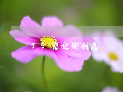 99贷逾期利息 99贷逾期利息