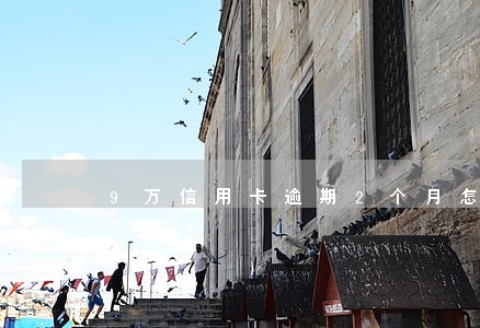 9万信用卡逾期2个月怎么办