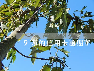 9万的信用卡逾期了