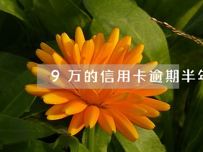 9万的信用卡逾期半年 9万的信用卡逾期半年