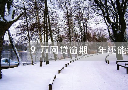 9万网贷逾期一年还能还吗 9万网贷逾期一年还能还吗