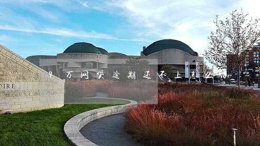9万网贷逾期还不上怎么办 9万网贷逾期还不上怎么办