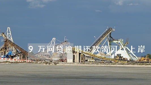 9万网贷逾期还款清可以上岸 9万网贷逾期还款清可以上岸