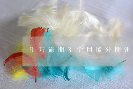 9万逾期3个月能分期还款吗 9万逾期3个月能分期还款吗