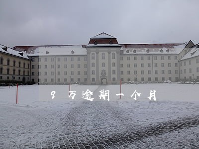 9万逾期一个月