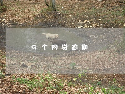 9个网贷逾期 9个网贷逾期