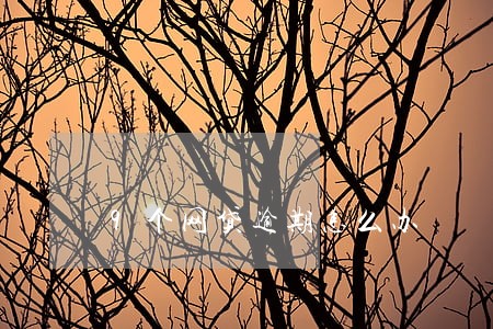 9个网贷逾期怎么办 9个网贷逾期怎么办