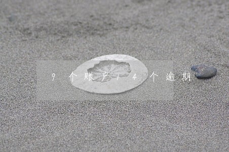 9个账户14个逾期 9个账户14个逾期