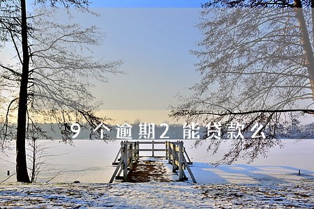 9个逾期2能贷款么 9个逾期2能贷款么